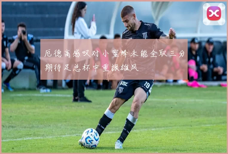 厄德高感叹对小蜜蜂未能全取三分期待足总杯中重振雄风