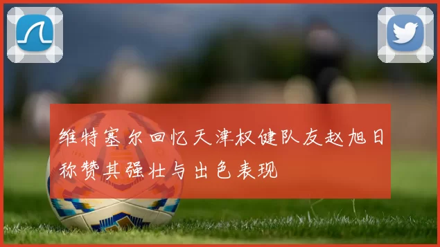 维特塞尔回忆天津权健队友赵旭日称赞其强壮与出色表现